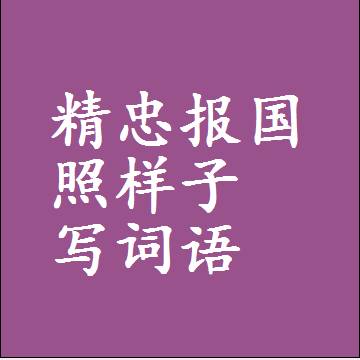 精忠报国照样子写词语，意思相同结构类似的四字词语