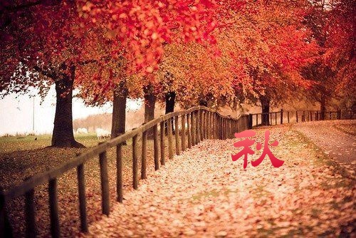美容院对顾客的问候语秋季(35句)