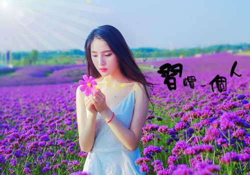 优美句子摘抄大全20字左右(35句)