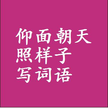 仰面朝天照样子写词语，意思相同结构类似的四字词语