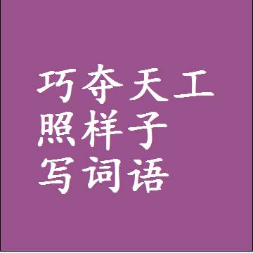 巧夺天工照样子写词语