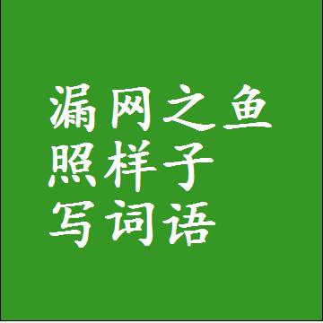 漏网之鱼照样子写词语，结构一样的成语