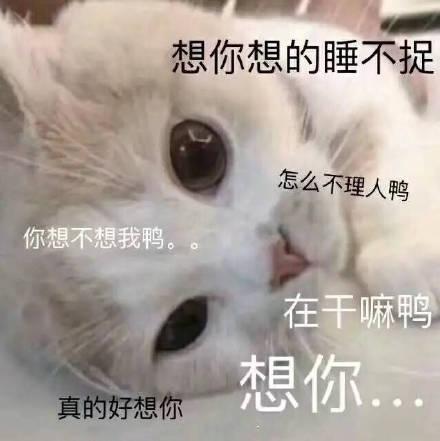 我想你了有关的句子 一句话表达我很想你