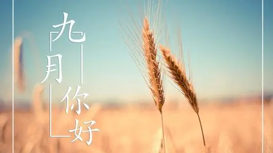 适合九月你好发的文案短句