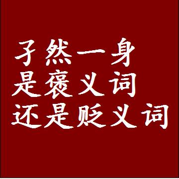 孑然一身是褒义词还是贬义词，是批评还是赞美