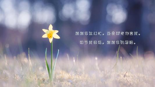 看清一个人的说说