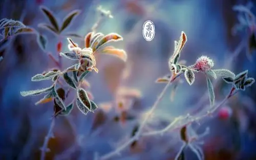霜降的句子短句唯美