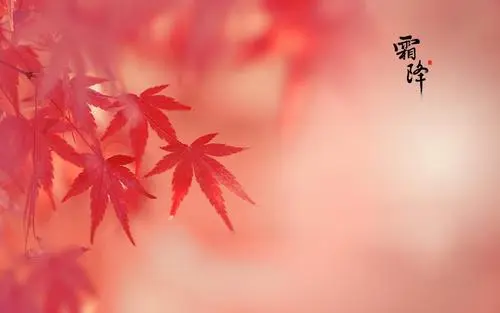 霜降的句子短句唯美