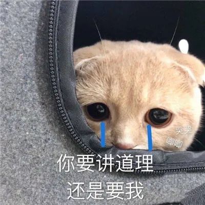 挽回女朋友感动的说说