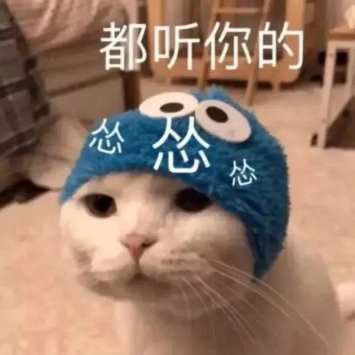 挽回女朋友感动的说说