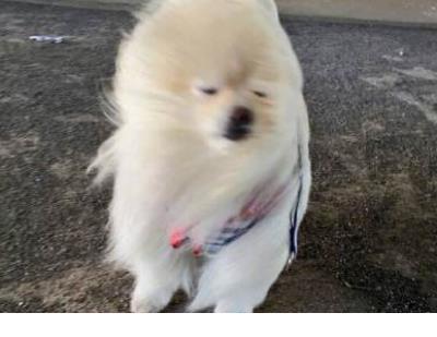 过年郁闷烦躁压抑的心情说说 心情压抑不开心的句子