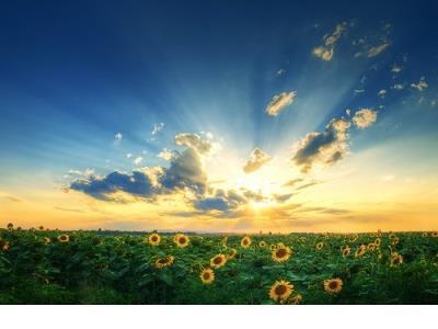 发朋友圈的励志短句 微信朋友圈励志背景图