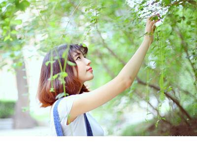 充满阳光的励志短句 早安励志一句话