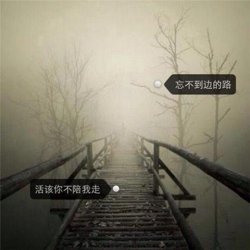 充满阳光的励志短句 早安励志一句话