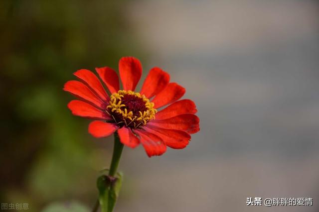 人生感悟情感文案人生难得糊涂(打台球人生感悟文案)