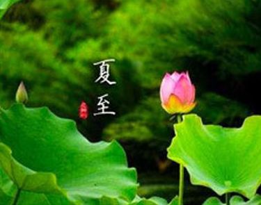 夏至很唯美的早安说说 2021夏至节气早安说说大全锦集24句