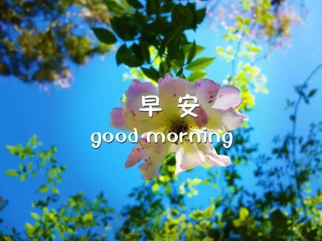 早安干净励志短句 朋友圈正能量的好句子