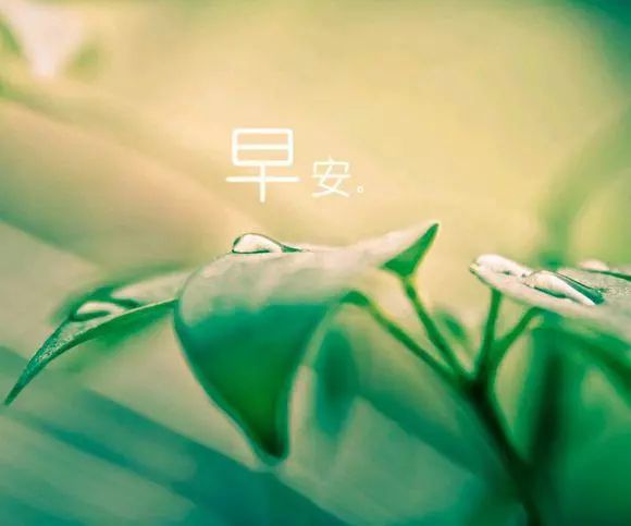 早安干净励志短句 朋友圈正能量的好句子