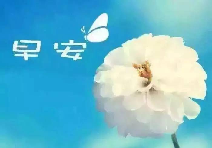 早安干净励志短句 朋友圈正能量的好句子