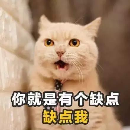 高级土味情话套路 撩妹子的情话套路