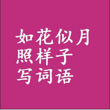 如花似月照样子写词语和成语