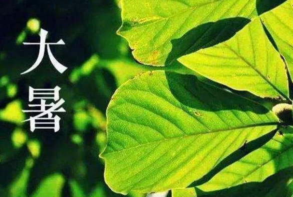 关于大暑的祝福语 暑节气祝福语图片