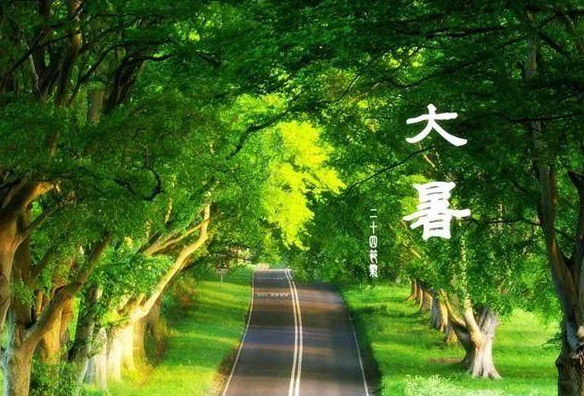 关于大暑的祝福语 暑节气祝福语图片