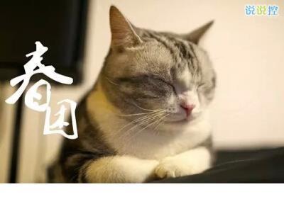 女人善良的说说句子 关于善良的名言