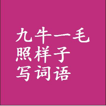 九牛一毛照样子写词语