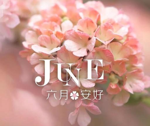 告别五月迎接六月说说 治愈系说说一句话