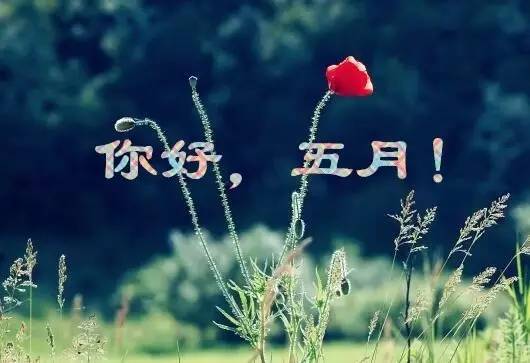 告别五月迎接六月说说 治愈系说说一句话