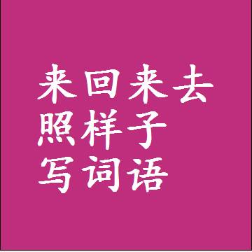 来回来去照样子写词语，结构一样的成语