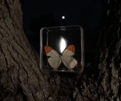 第一次喝酒释放心中郁闷的短句 第一次喝酒的心情说说(精选29句)
