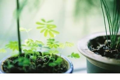 职场励志名言及感悟八字 名言名句大全励志人生
