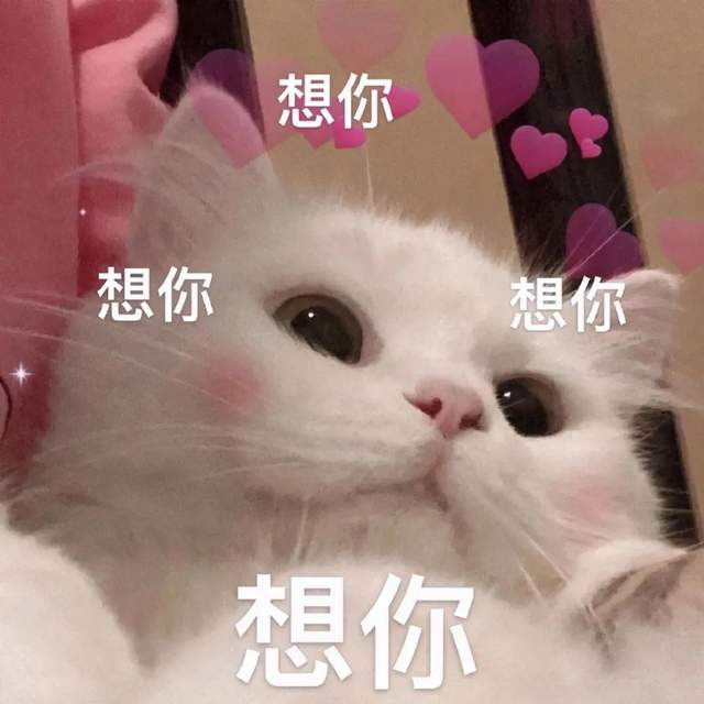 表达想你了的撩人句子 想念撩人句子大全