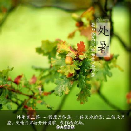 致自己生日唯美的句子 关于爱情的唯美句子