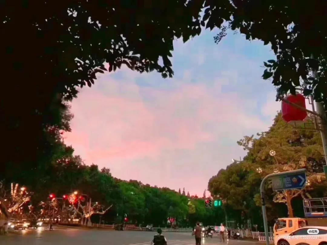 干净无关爱情的句子