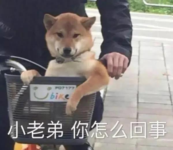 可爱的沙雕句子 沙雕有趣的文案
