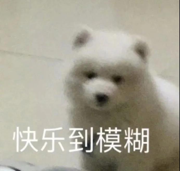 搞笑句子能笑死人的