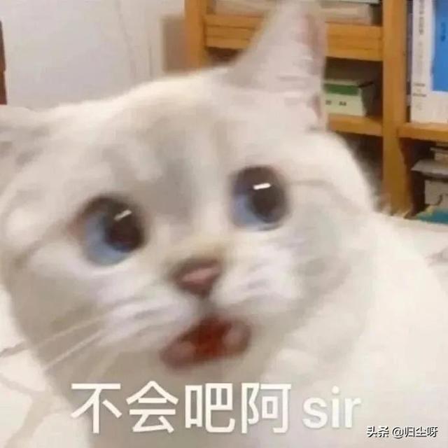 情感文案女孩子学车(拿到驾照的霸气说说)