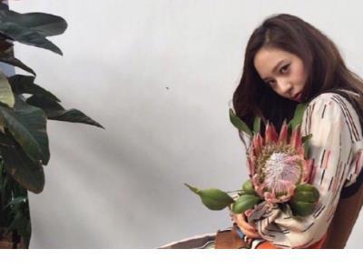 面对困难的励志句子 坚持的励志语录