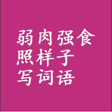 弱肉强食照样子写词语，意思相同结构类似的四字词语
