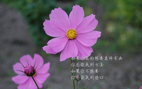 形容父爱伟大最经典的句子汇编31句