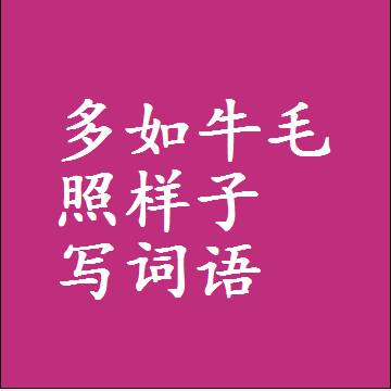 多如牛毛照样子写词语和成语