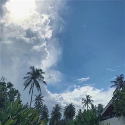 关于浪漫的唯美句子 表白套路甜到炸的句子