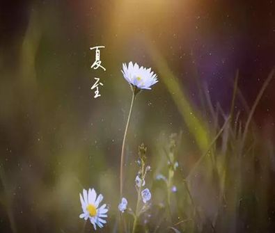 2021夏至节气发的心情说说 夏至到来的心情说说大全26句