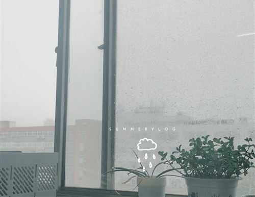 下雨没有伞文案吸引人的句子(28句)