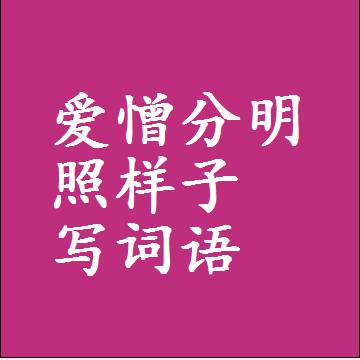 爱憎分明照样子写词语