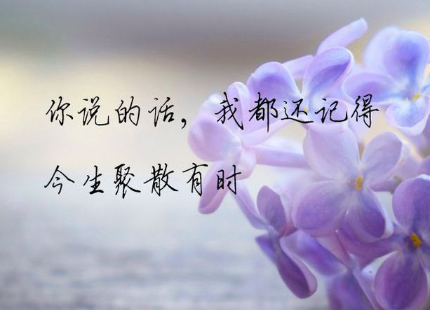 分手后各自安好的句子