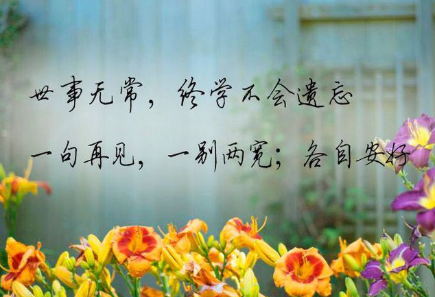 分手后各自安好的句子